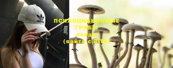 твердый Карталы