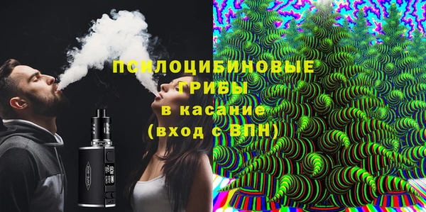 spice Сосновка